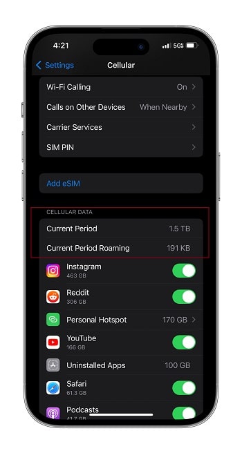 How to check data usage on iPhone
